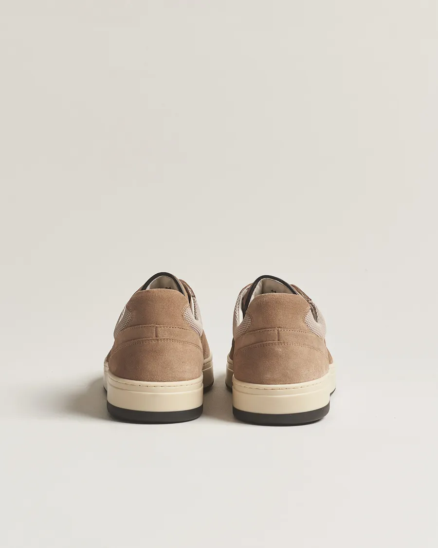 Net Suede Sneaker Hazel