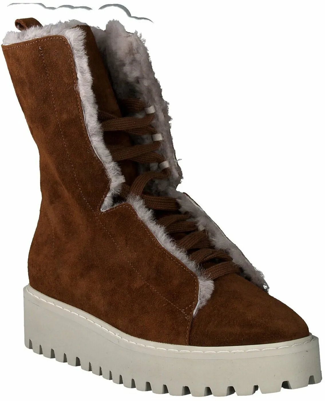 Winter-Schnürboots für Damen 192222901600 (Braun)